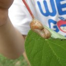 만천초등학교 병설유치원 이미지