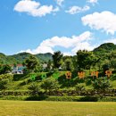 한방쑥사우나 이미지