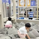 세븐일레븐 고양롯데아울렛점 | 고양 이케아 키즈카페 챔피언 롯데아울렛점 방문후기