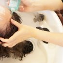 앙포레헤어 이미지