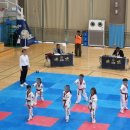 한국체대 올림픽 태권도장 이미지