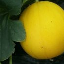 벧엘농장 이미지