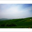 은신목장 이미지