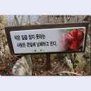 팔영주유소 이미지