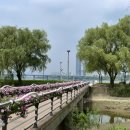 신반포역 1번출구 앞 이미지