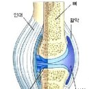 앉았다 일어나면 무릎에서 소리가 나요 이미지