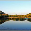 두류공원 이미지