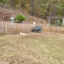 메르시 펜션 이미지