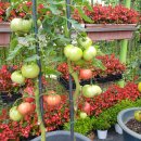 유석화유치원 이미지