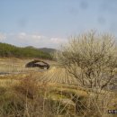 수일농장 이미지