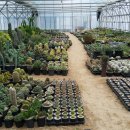 석주농장 이미지