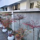 전원손칼국수 이미지