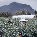 효은농장 이미지