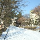 천안고등학교 이미지