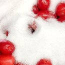 보리수다방 이미지