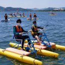 낙동강자전거교실 이미지