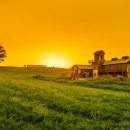 안성목장 이미지