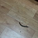 신시로16길1-28 이미지