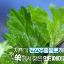 제타리움의원 이미지