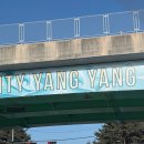 양양군웰컴센터 | 🌊 강원도 양양 감성숙소 펜션 체사레 후기 (내돈내산)