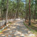 월송정매점 이미지