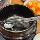 참좋은 월천합기도 | 동탄 삼계탕 추천 진한 녹두 국물이 일품인 월천삼계탕 방문 후기(혼밥도 최고)