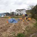 진도농장 이미지