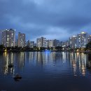 김포동물병원 '미드미동물병원' 광견병 주사 맞고 왔어요