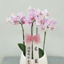 신월동192 이미지