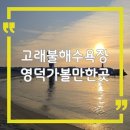 고래불일출마트펜션 | 영덕 가볼만한곳 고래불해수욕장 개장 앞두고