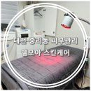 쉘모아스킨케어 네이버블로그