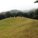전계대원군 묘 및 신도비 이미지