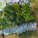 새나라어린이집 이미지