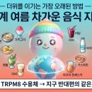 삼복고기창고 | 더위를 이기는 가장 오래된 방법 — 한국부터 페르시아까지, 세계 여름 차가운 음식 지도