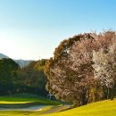 컨트리사이드(country side)