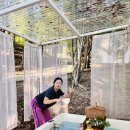 스테이 사계 이미지