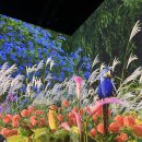 보라미디어 | 경주 아이와 가볼만한곳 라원 오픈! 제2의 동궁원 미디어아트 실내 놀거리 추천