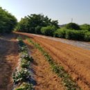 전대1리마을회관 이미지