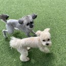 헬로우버디 이미지