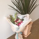 여주-0704 이미지