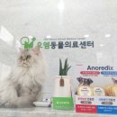 오엠동물병원 이미지