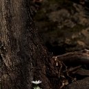 오늘도, 커피 이미지