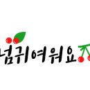 미소다육식물