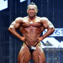 몬스터 짐 이미지