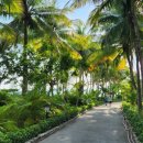 다이아몬드 당구장 | &#39;24년 여름휴가 베트남 나트랑 후기 4부(다이아몬드베이 리조트, 롯데마트, 담시장)