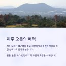 수산리-20 | 제주 오름 등반, 아침 산책 추천 명소 총정리