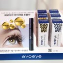 주주살롱 이미지