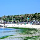 해변풍경 이미지