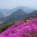 ♧4월7일 정기산행ㅡ 창원 천주산 이미지