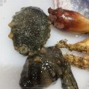 공주수산 이미지